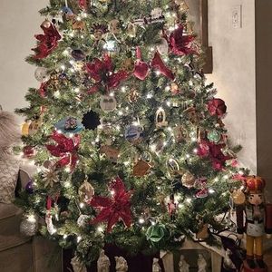 Meet your Posher, Jacqueline